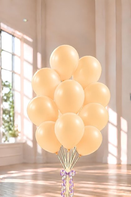 12 inch macaron salmon balloon 10 pieces
