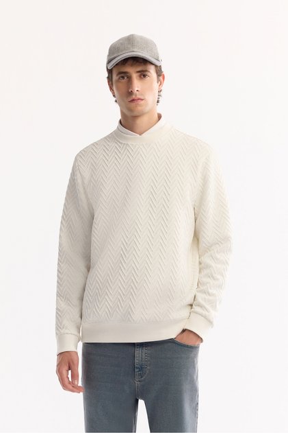 Men's Ecru Crew Neck Textured Elastane Regular Fit Sweatshirt A52Y1216