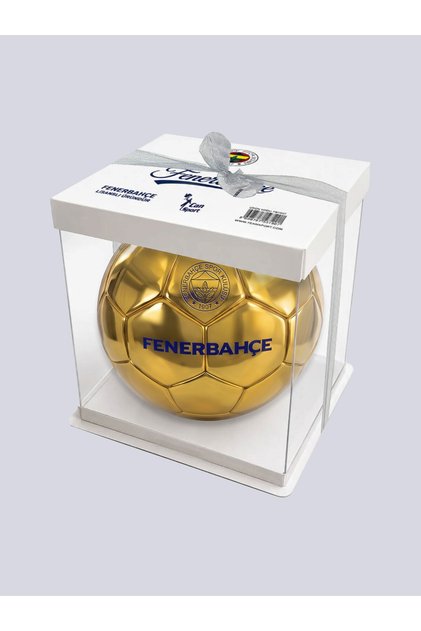FUTBOL TOPU GOLD NO5