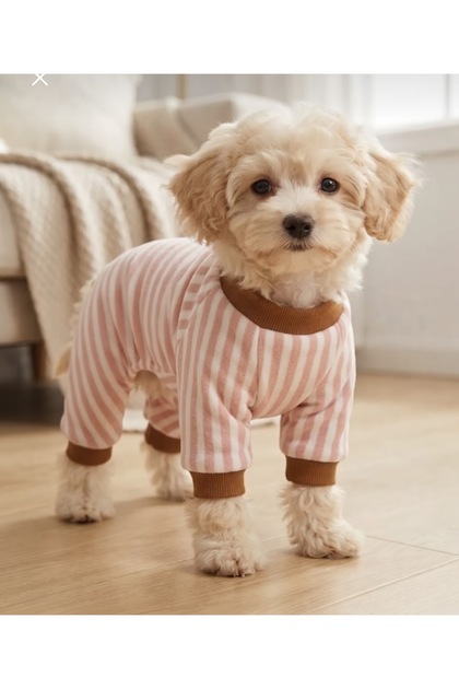 Kedi Köpek Yumoş Penye Tulum Pijama