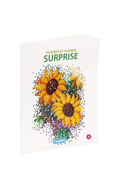 Carte de colorat pe numere Surprize 4