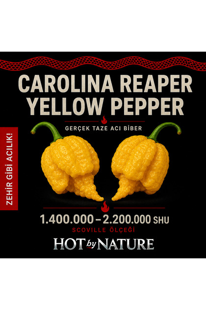 CAROLINA REAPER YELLOW PEPPER / 1.8 Milyon Scoville - Gerçek Taze Acı Biber