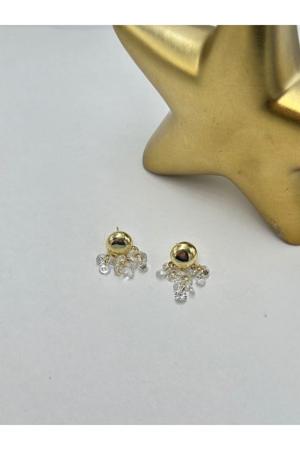 Bead Charm Steel Earrings