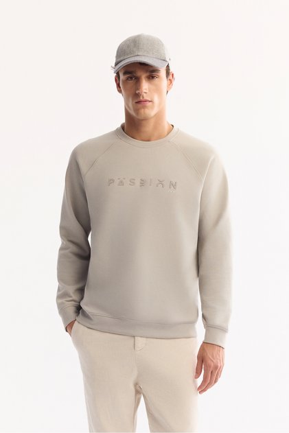 Men's Gray Crew Neck Cotton Bi-Stretch Printed Regular Fit Sweatshirt A52Y1249