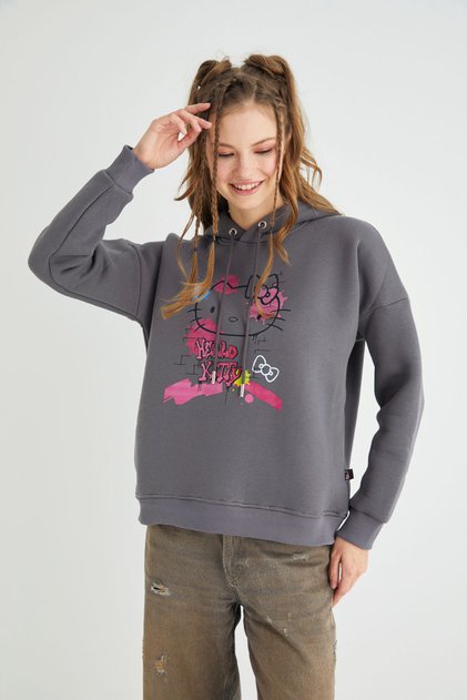 Licensed Printed Hooded Sweatshirt