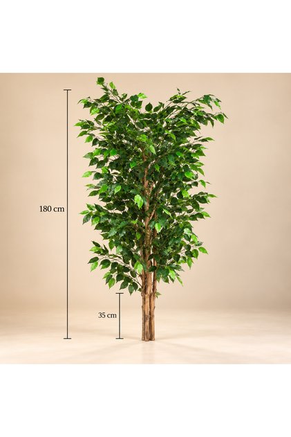 180 Cm Islak Doku Benjamin ( SAKSISIZ) gelecektir