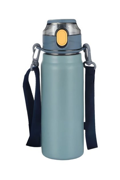 304 L Steel Blue 800 ml Water Bottle with Strap and Straw cin411mv-8