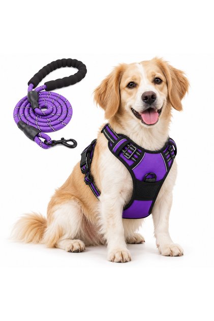 Reflective dog leash and training collar set for medium and large breeds - perfect for walking and training