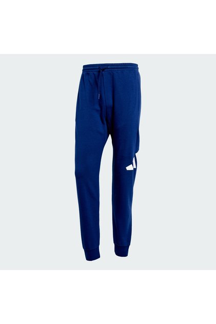 Essentials Big Logo French Terry Pants