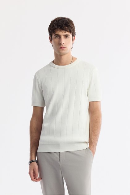 Men's Ecru Crew Neck Knitwear Regular Fit T-Shirt A51Y5023