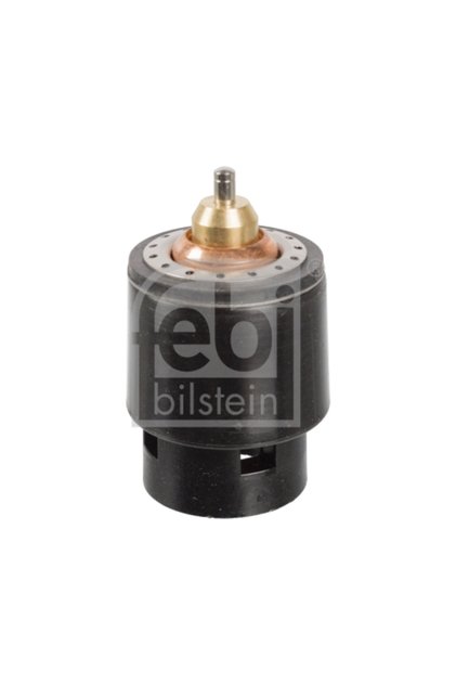 Termostat,lichid racire 108185