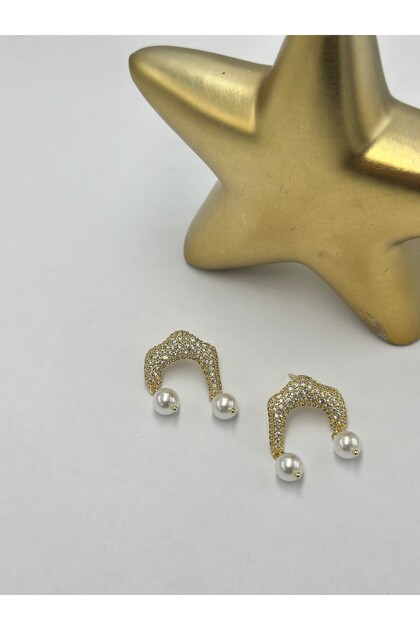 Pearl and Zircon Stone Design Earrings (Steel)