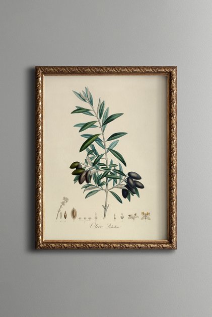 Olive Branch - Vintage Patterned Painting - Slim Model