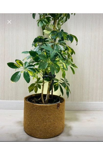 Wicker Flower Pot Round Multi-Purpose Basket Flower Pot Diameter 23 Size 20