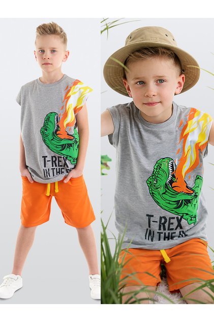 T-Rex Flame Boy's Sleeveless Summer T-Shirt Shorts Set