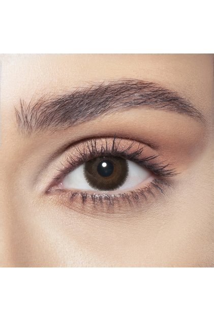 One Day Cedar Pack Of 10 Daily Disposable Contact Lenses, Color Contact Lenses, Brown Contact Lenses