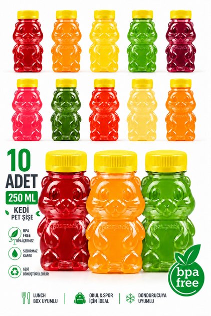 CAT PET BOTTLE School Picnic Fruit Juice Smoothie Detox Ginger Clear Plastic Empty Leak-Proof Beverage Bottles, 10-Pack