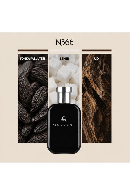N366 Arabia Tonka 50 ml.