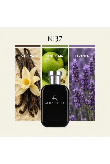N137 Lyton 50 ml.