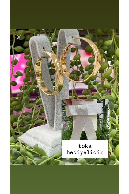 Steel Hoop Earrings 4 cm in Diameter
