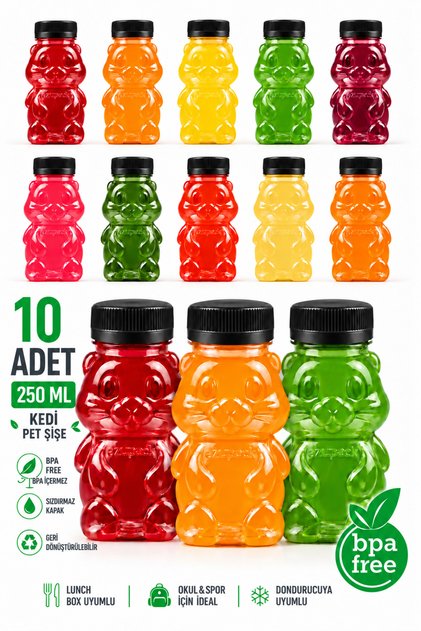 CAT PET BOTTLE School Picnic Fruit Juice Smoothie Detox Ginger Clear Plastic Empty Leak-Proof Beverage Bottles, 10-Pack