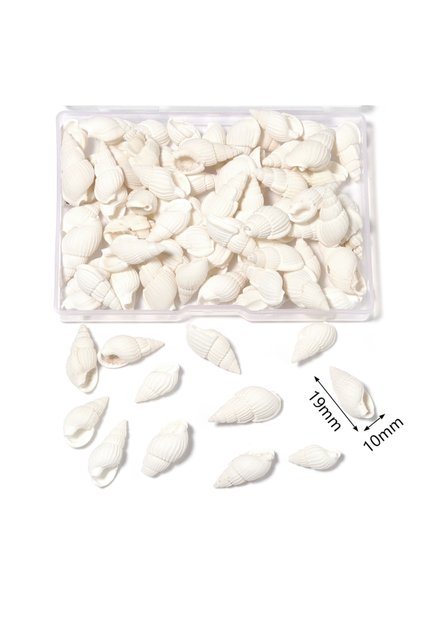 Style A 40-42pcs 1 Box Sea Shells Spiral Shell Tiny Ocean Spiral Seashells Crafts Aquarium Decoratio