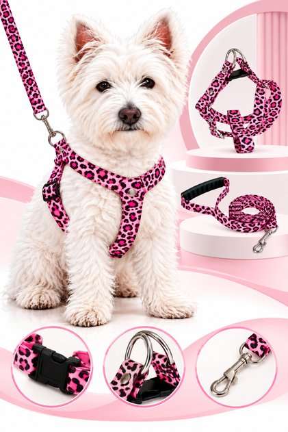 Dog Chest Harness and Walking Strap Set