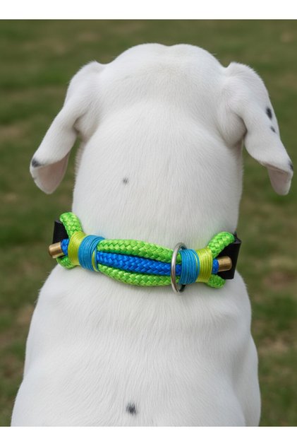 Adjustable Dog Collar for Small and Large Breeds—Scotch Rope & Leather, Green & Blue