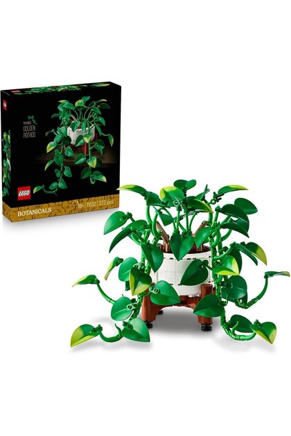 11512 Botanical Golden Pothos Toy for Men and Women