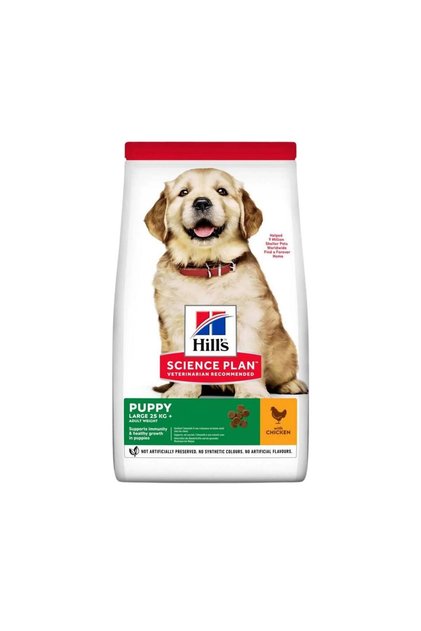 Dog Foods