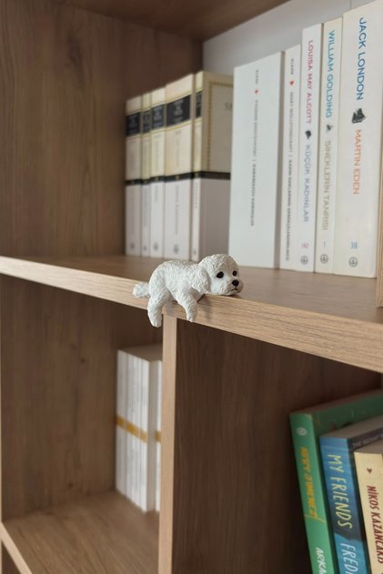 Raf Kenarı Sevimli Köpek Biblosu