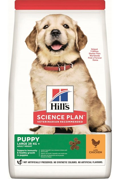 Dog Foods