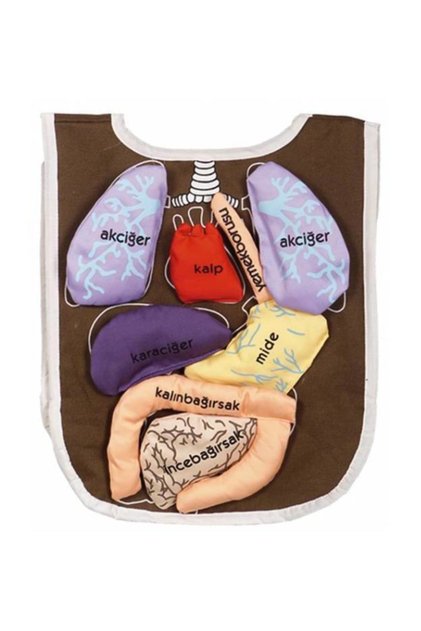 Toys Organ Bib Nursery-Children-Kindergarten Educational Toys