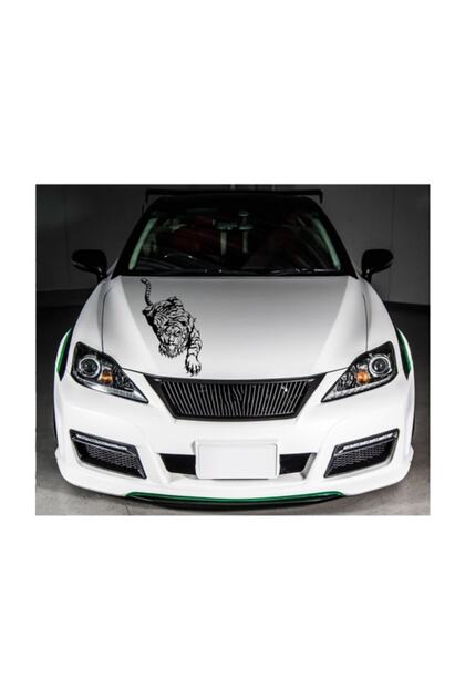 Tiger Front Shell Sticker Car Sticker Pasting