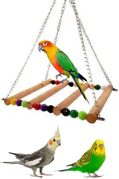 Parrot Bridge Swing