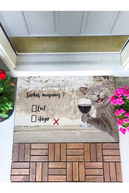 Drunk Faucet Door Mat Decorative Door Mat Outdoor Mat Home Door Mat