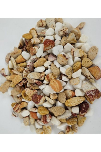 Renkli Çakıl Taşı 1 Kg 1-2 Cm Saksı Dibi Teraryum Saksı Süs Vazo Dibi Dekoratif Dolomit Taş