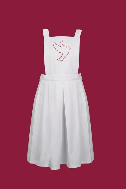 Adult Kitchen Apron Trt Licensed Product