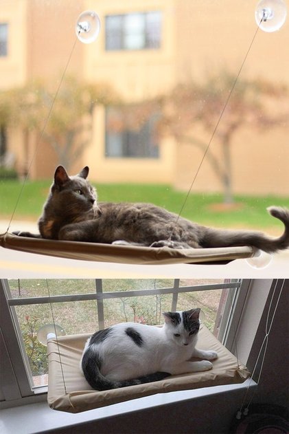 Cama Yapışan Kedi Yatağı