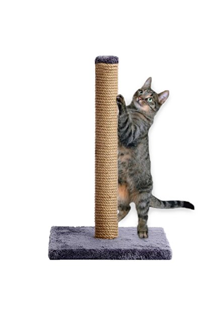 Lüks Kedi Tırmalama Tahtası 60cm