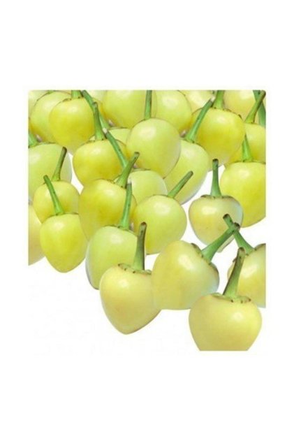 Top Biberiye Biber Tohumu