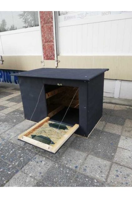 Güvercin Kümesi