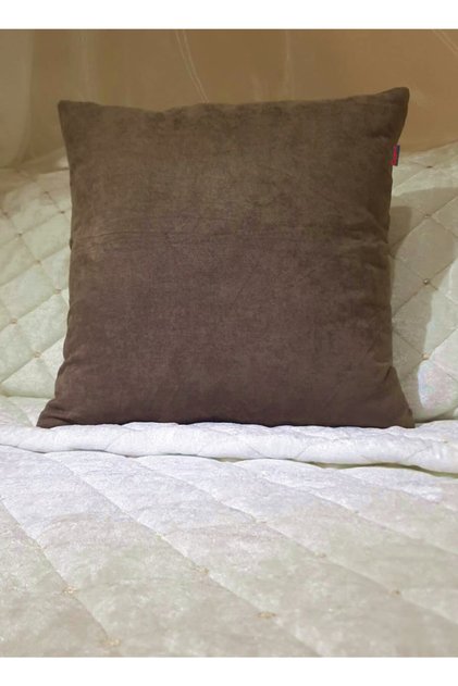 Decorative Throw Pillow Case