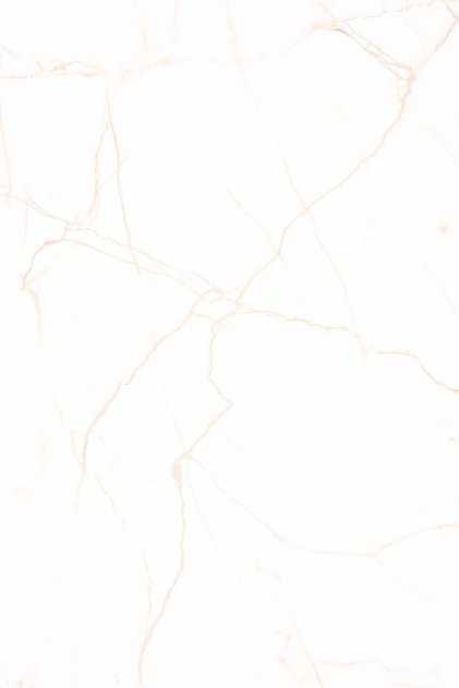 Waterproof Adhesive Foil
