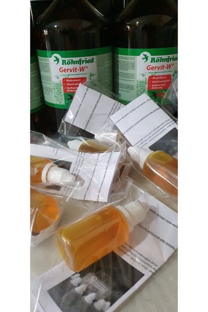 Gervit-w Multivitamin Takviyesi 30 ml
