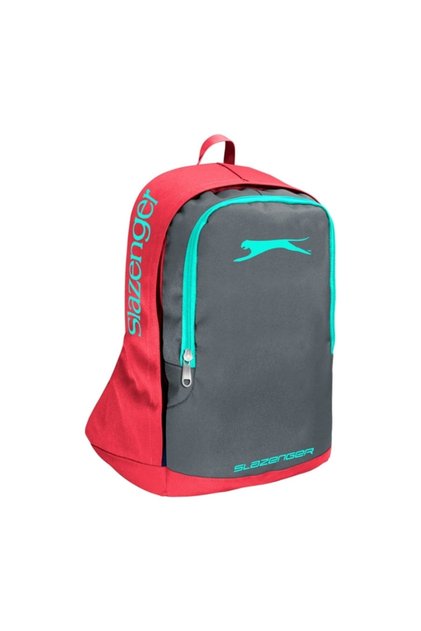 Gray Fuchsia Two Compartment School Backpack 19334