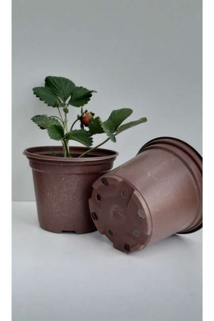 Vakum Saksı 50 Adet 12x10 Cm 0,70 Lt Plastik Saksı Ucuz Saksı Fide Üretim Saksısı Fide Saksısı
