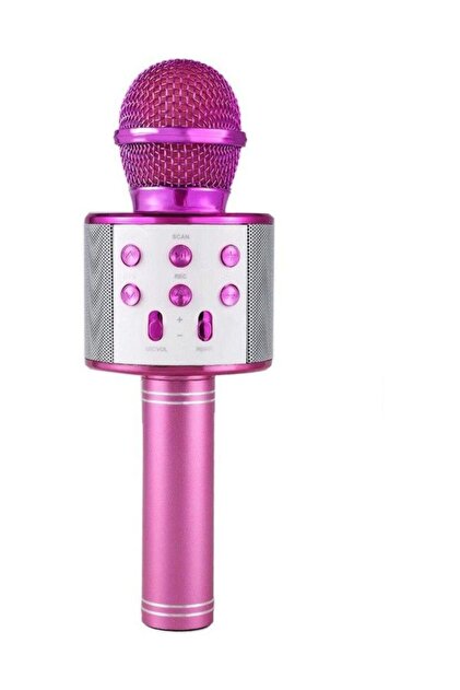 Genel Markalar Pembe Ws-858 Dahili Hoparlörlü Usb Flash Destekli
