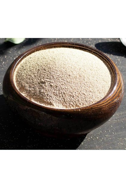Alfatec 48 Turbo Maya 100 gr