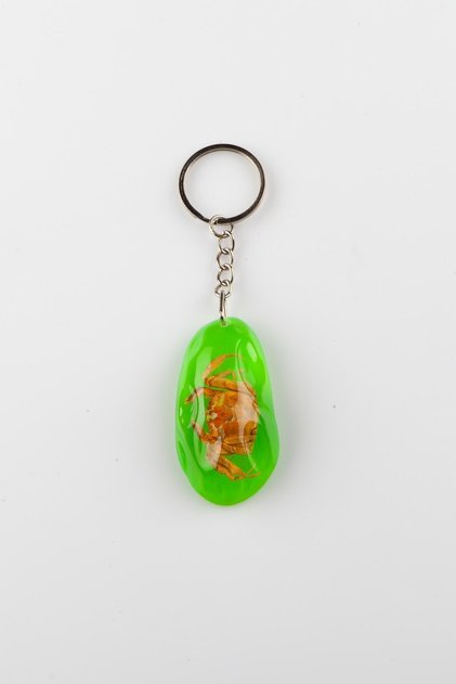 Green Transparent Resin Keychain Natural Crab